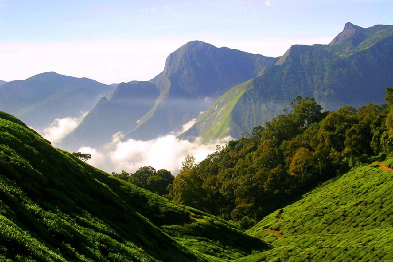 Апартаменты Mistica Munnar Anachal Экстерьер фото