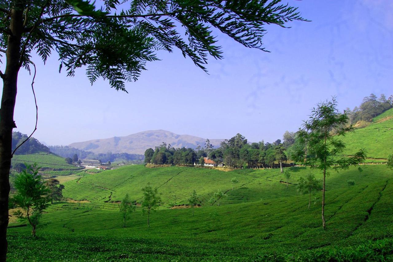 Апартаменты Mistica Munnar Anachal Экстерьер фото