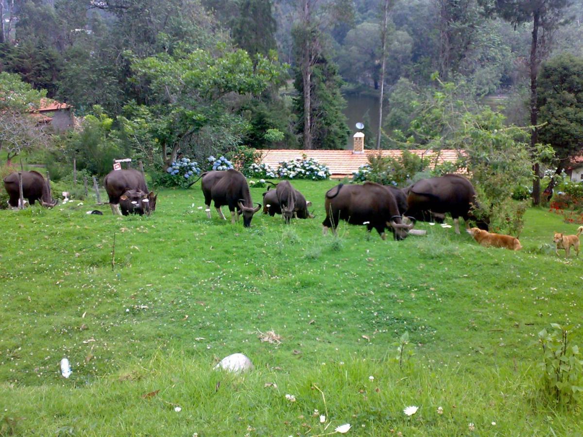 Апартаменты Mistica Munnar Anachal Экстерьер фото