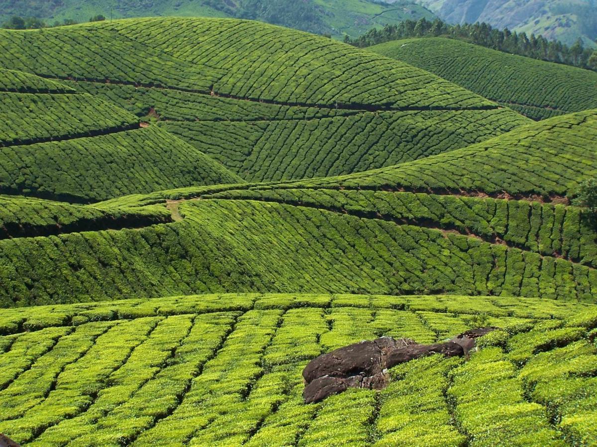 Апартаменты Mistica Munnar Anachal Экстерьер фото