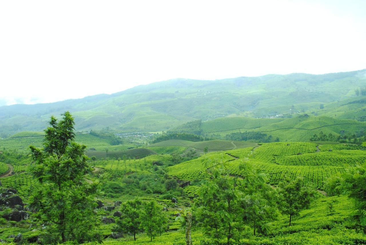 Апартаменты Mistica Munnar Anachal Экстерьер фото