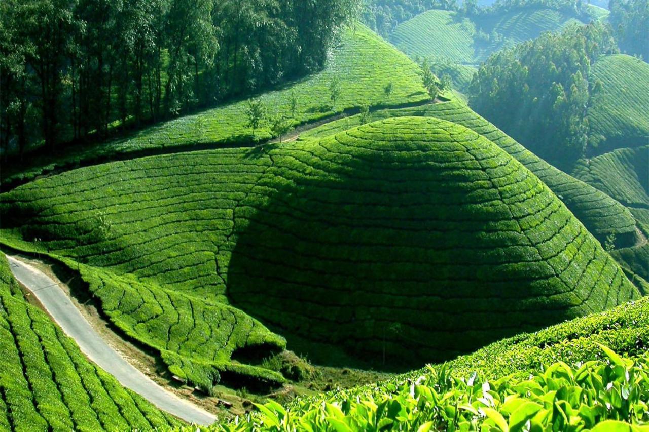 Апартаменты Mistica Munnar Anachal Экстерьер фото