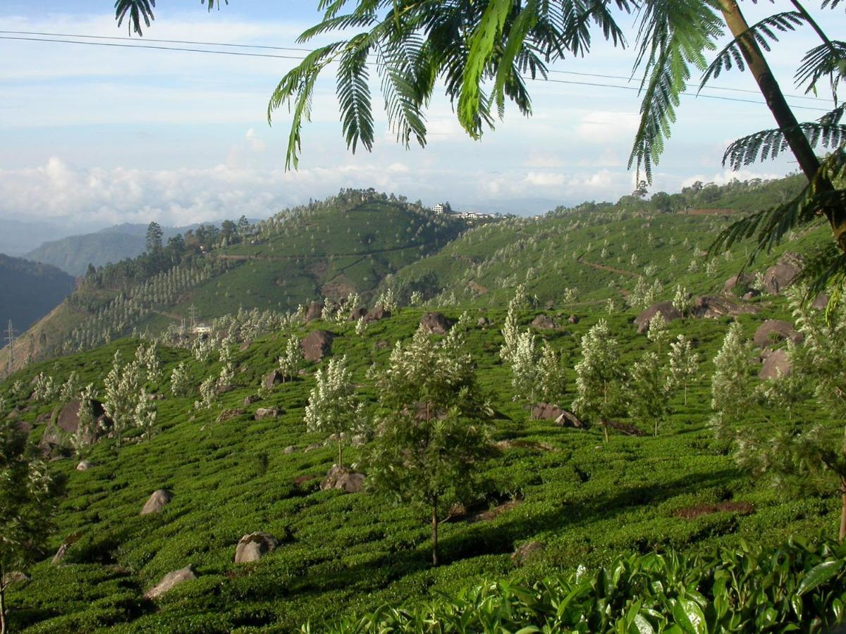 Апартаменты Mistica Munnar Anachal Экстерьер фото
