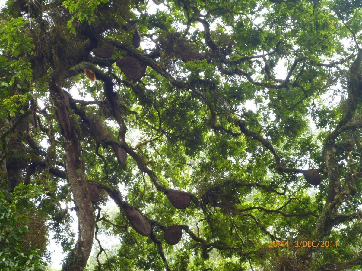 Апартаменты Mistica Munnar Anachal Экстерьер фото