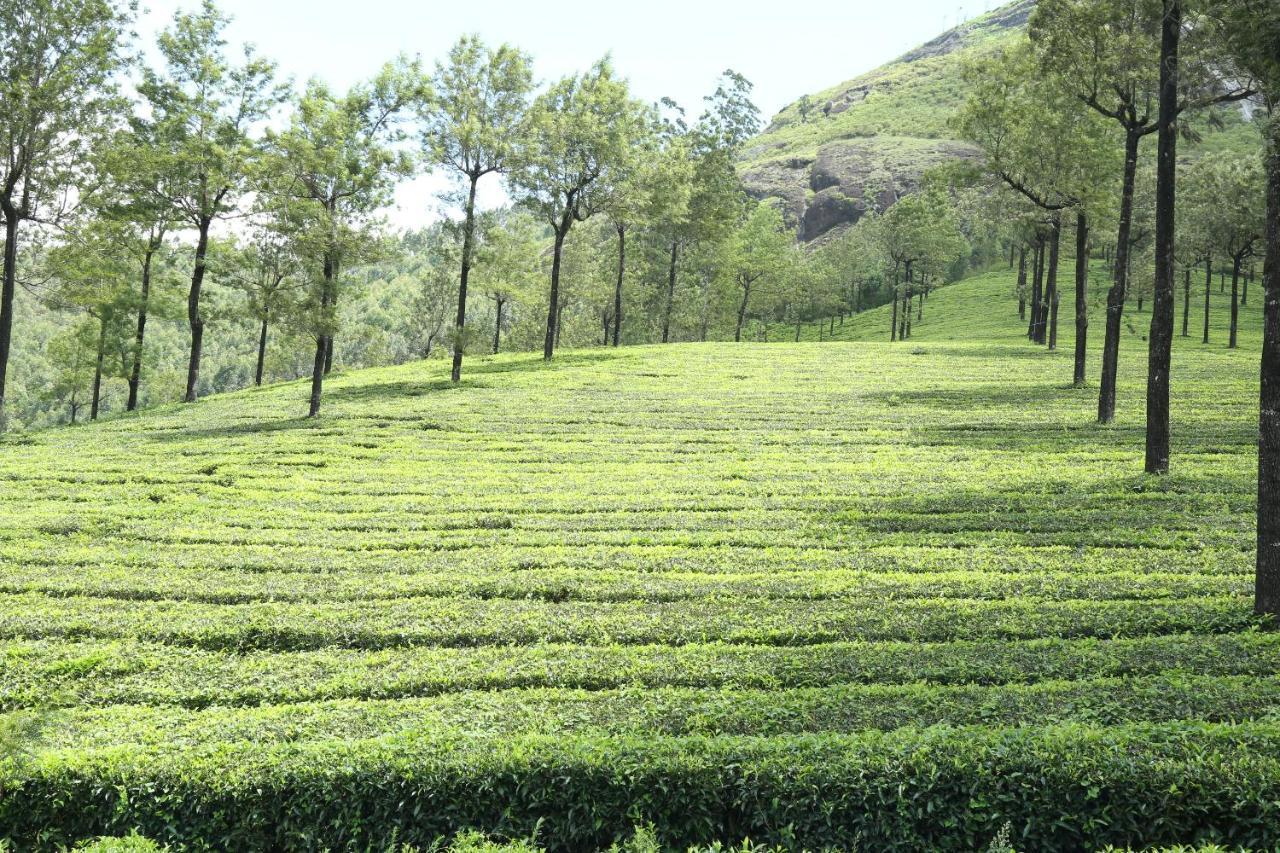 Апартаменты Mistica Munnar Anachal Экстерьер фото