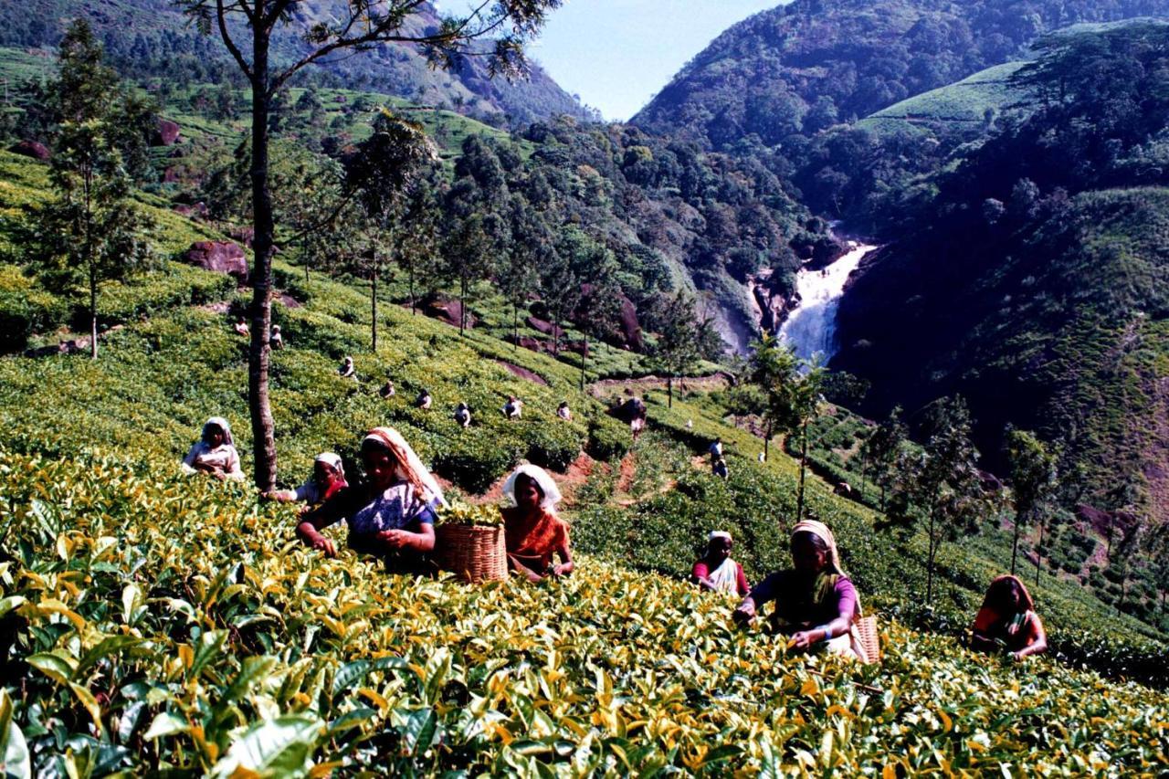 Апартаменты Mistica Munnar Anachal Экстерьер фото